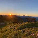 Mountain Apartman Maurach