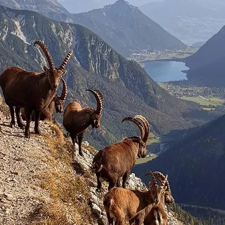 아파트 Mountain